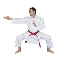 Karategi KATA MASTER